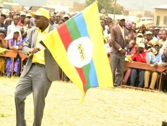 NRM wins Ruhaama county by-election