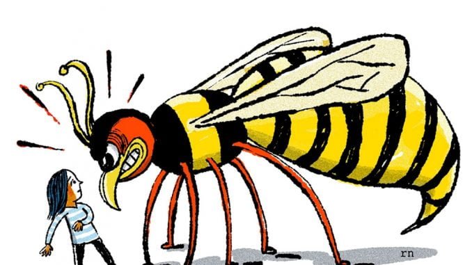 Wasps kill American tourist in Bwindi Impenetrable National Park