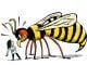 Wasps kill American tourist in Bwindi Impenetrable National Park