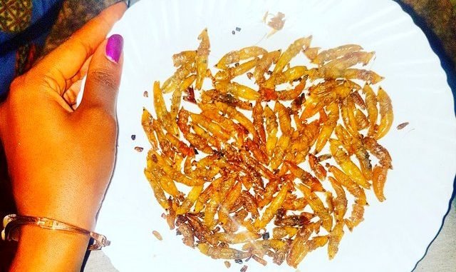 Nsenene: Ugandan grasshopper delicacy season