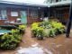 Livingstone International University halts examinations over floods
