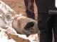 Tension as Uganda police detonates bulged gas cylinder at Mulago
