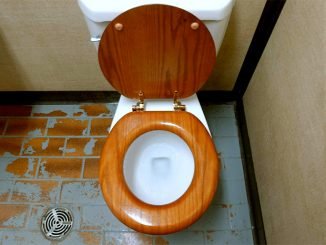 Study suggests coronavirus could spread in spray from toilet
