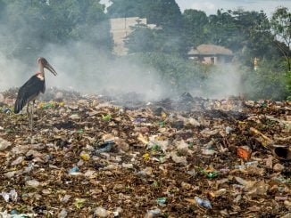 Garbage-Dumping in Uganda
