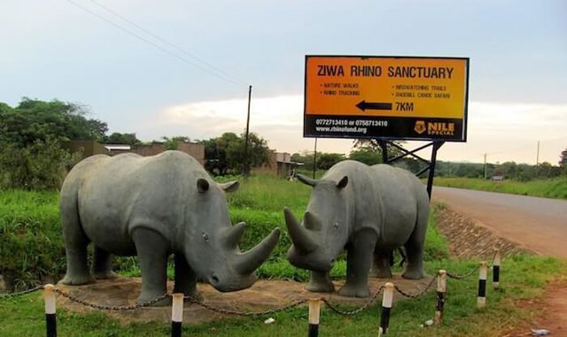 UWA closes Ziwa Rhino Sanctuary following ownership conflict