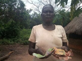 Elderly couple in Uganda loses Shs 1.6m savings to termites