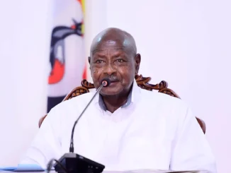 Museveni pledges Shs5 billion boost for content creators’ SACCO